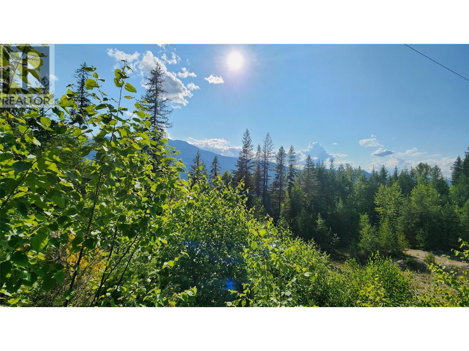 Lot 19 6 Highway, Nakusp, British Columbia  V0G 1R1 - Photo 7 - 10382808