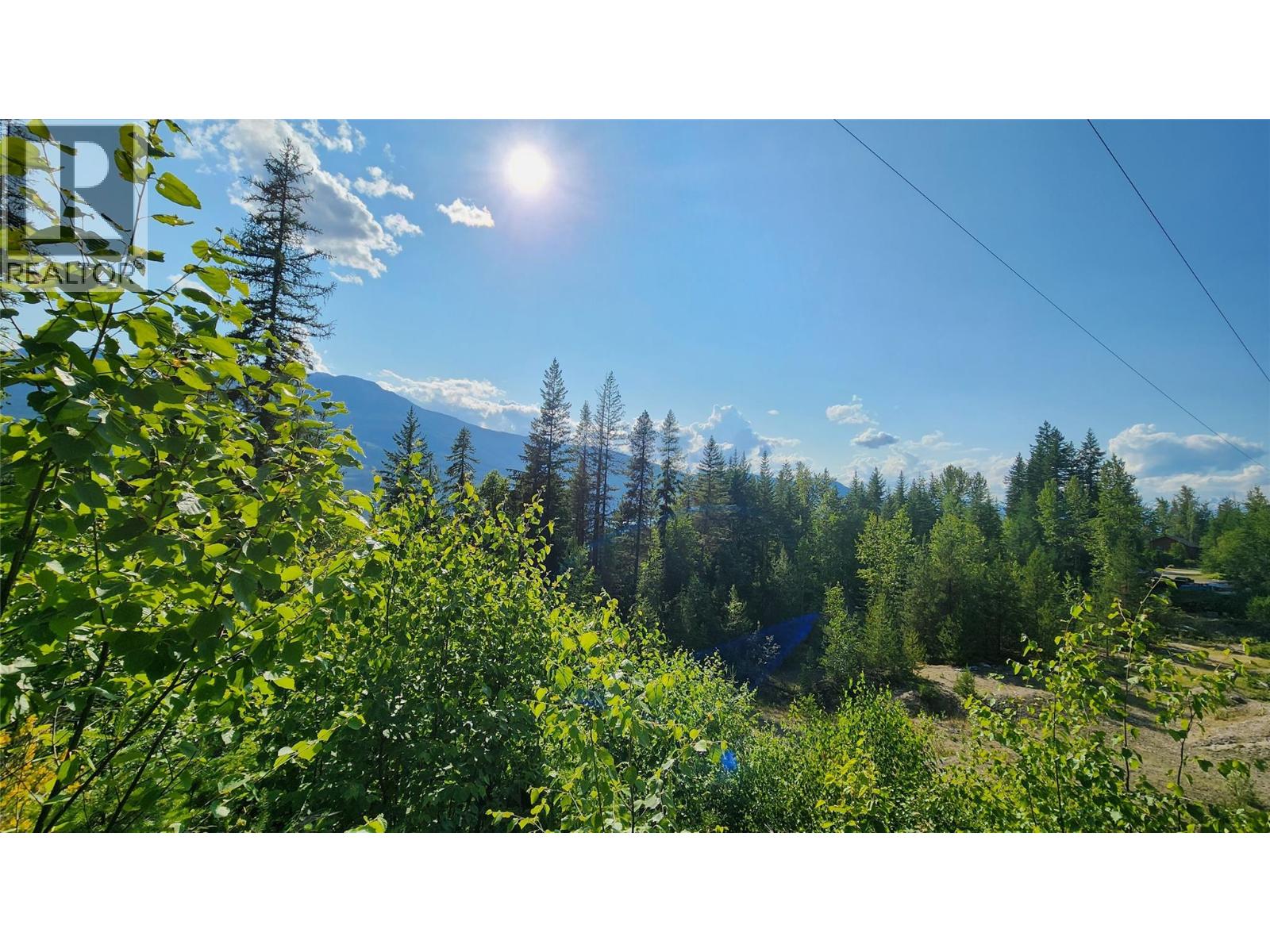 Lot 19 6 Highway, Nakusp, British Columbia  V0G 1R1 - Photo 8 - 10382808