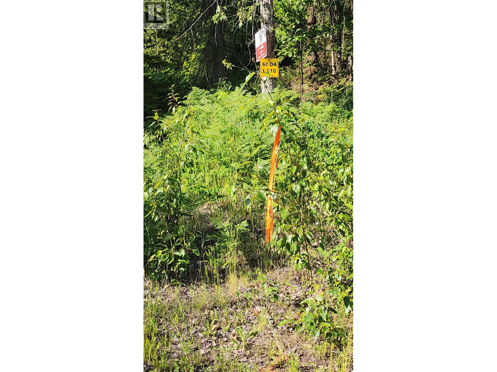 Lot 19 6 Highway, Nakusp, British Columbia  V0G 1R1 - Photo 9 - 10382808