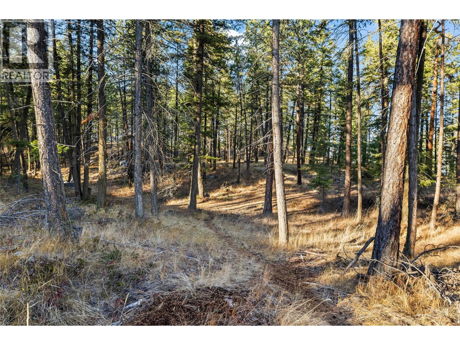 530 Muir Road, Kelowna, British Columbia  V1Z 3W1 - Photo 45 - 10382606