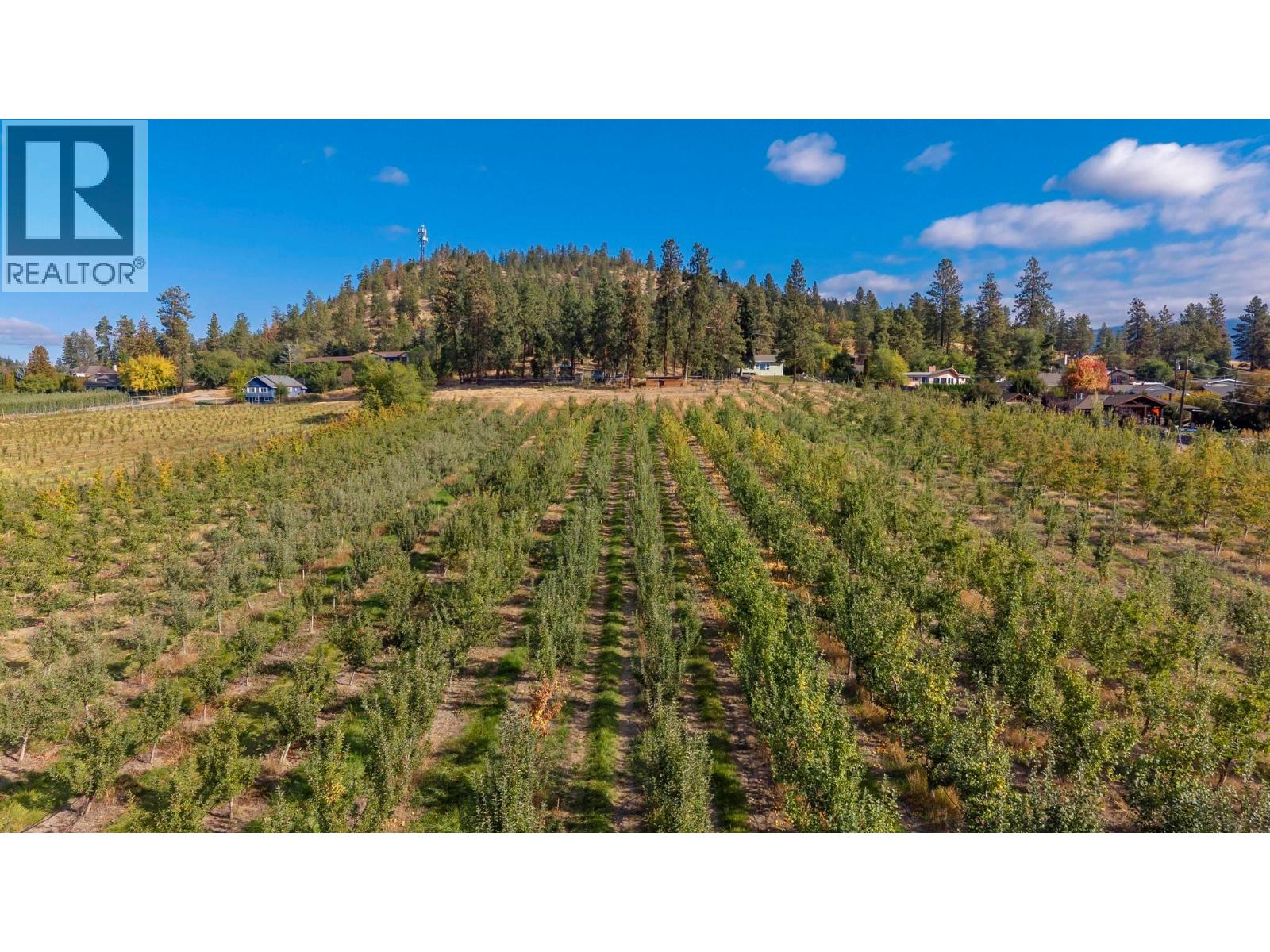 590 Brenda Road, Kelowna, British Columbia  V1V 2C8 - Photo 38 - 10382814