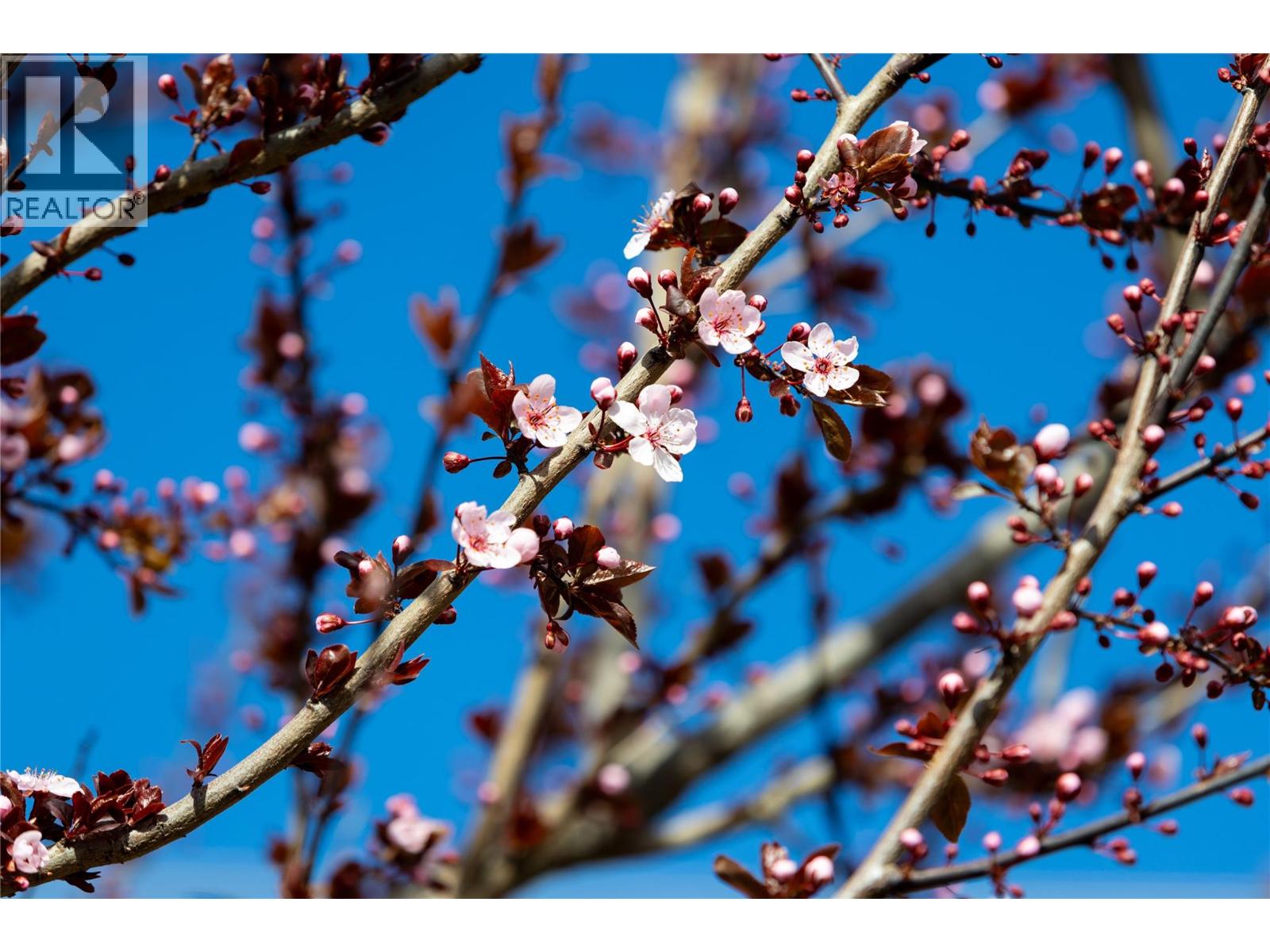1509 38 Avenue, Vernon, British Columbia  V1T 2Z1 - Photo 58 - 10382822