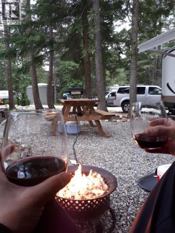 3499 Luoma Road Unit# 13, Malakwa, British Columbia  V0E 2J0 - Photo 8 - 10382852