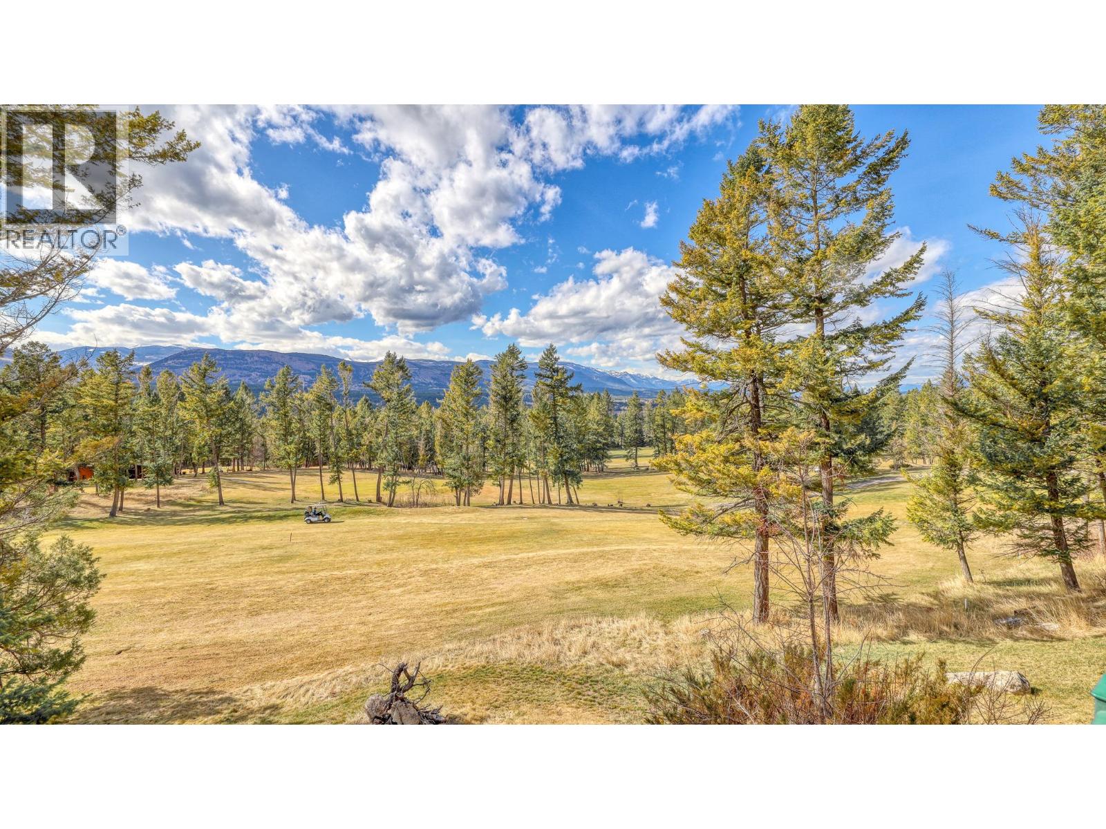 5155 Fairway Drive Unit# 301, Fairmont Hot Springs, British Columbia  V0B 1L0 - Photo 13 - 10382422