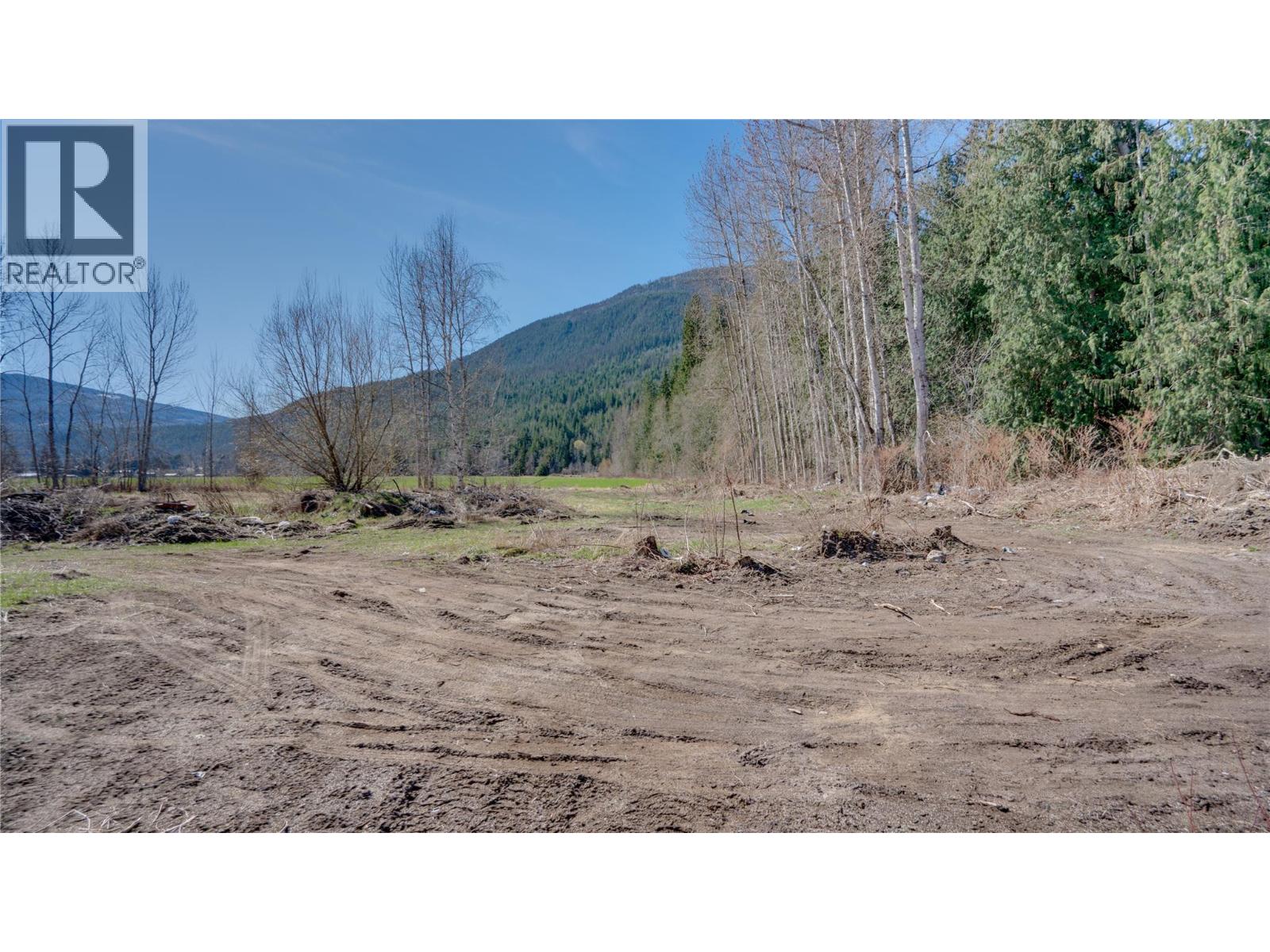 3854 Trinity Valley Road, Enderby, British Columbia  V0E 1V5 - Photo 29 - 10382753