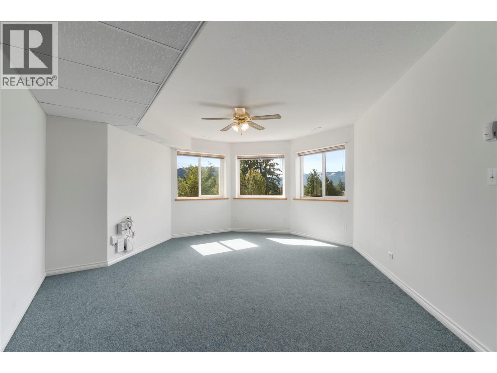 1131 50 Avenue Ne, Salmon Arm, British Columbia  V1E 3N1 - Photo 58 - 10381448