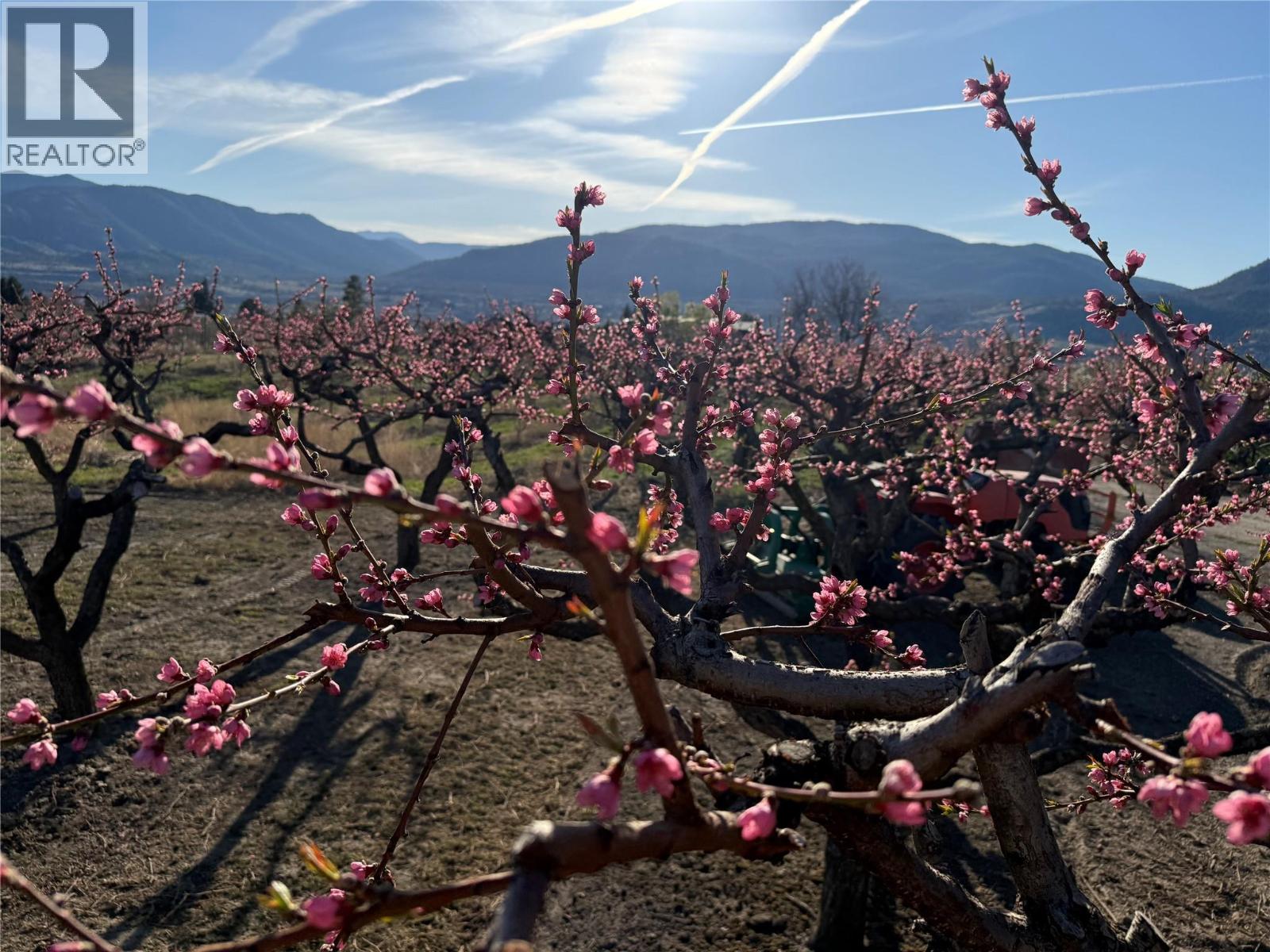 235 Middle Bench Road N, Penticton, British Columbia  V2A 8S5 - Photo 75 - 10382894