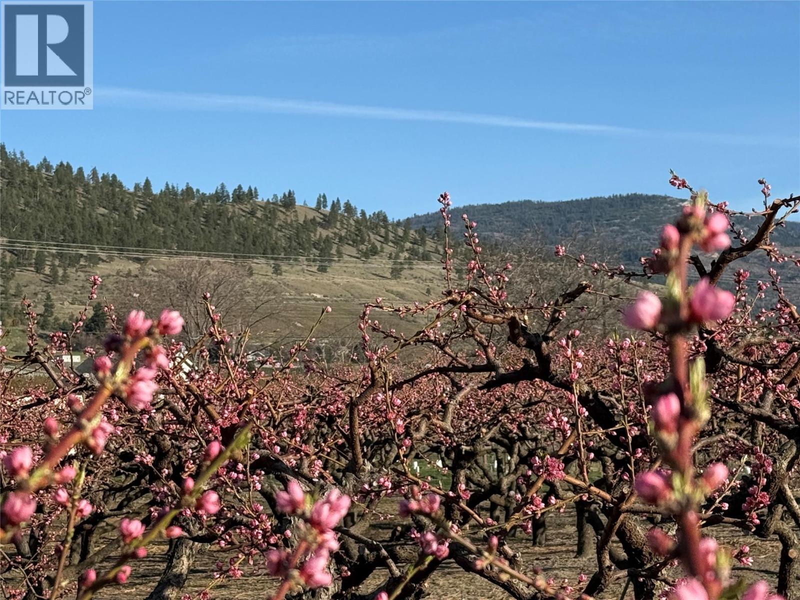 235 Middle Bench Road N, Penticton, British Columbia  V2A 8S5 - Photo 78 - 10382894