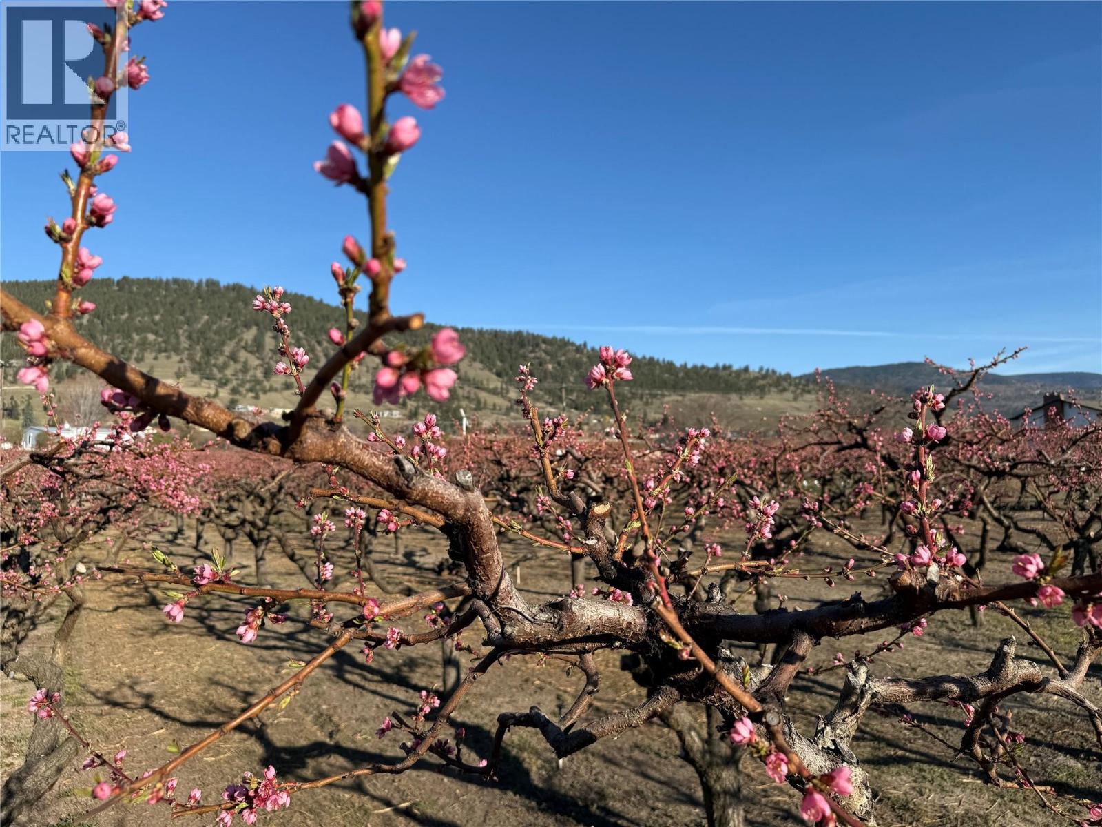 235 Middle Bench Road N, Penticton, British Columbia  V2A 8S5 - Photo 79 - 10382894