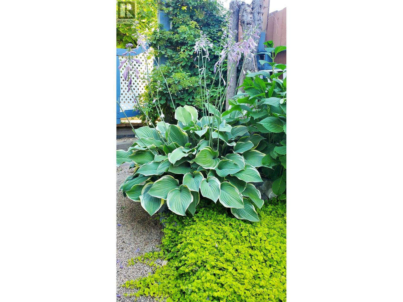 1936 Grandview Avenue, Lumby, British Columbia  V0E 2G0 - Photo 79 - 10382511