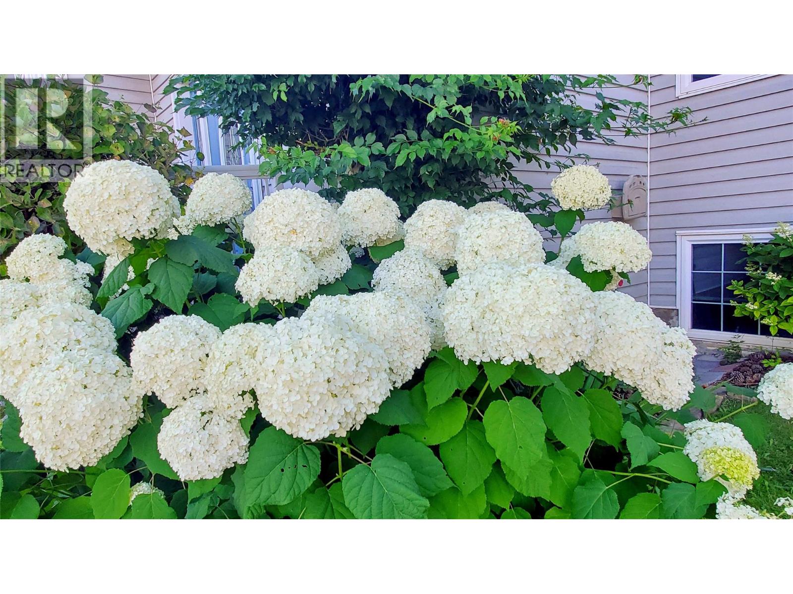 1936 Grandview Avenue, Lumby, British Columbia  V0E 2G0 - Photo 82 - 10382511