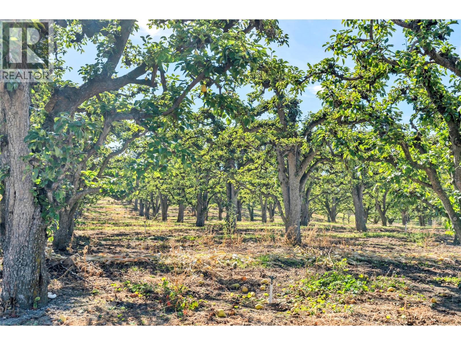 235 Middle Bench Road N, Penticton, British Columbia  V2A 8S5 - Photo 53 - 10382916