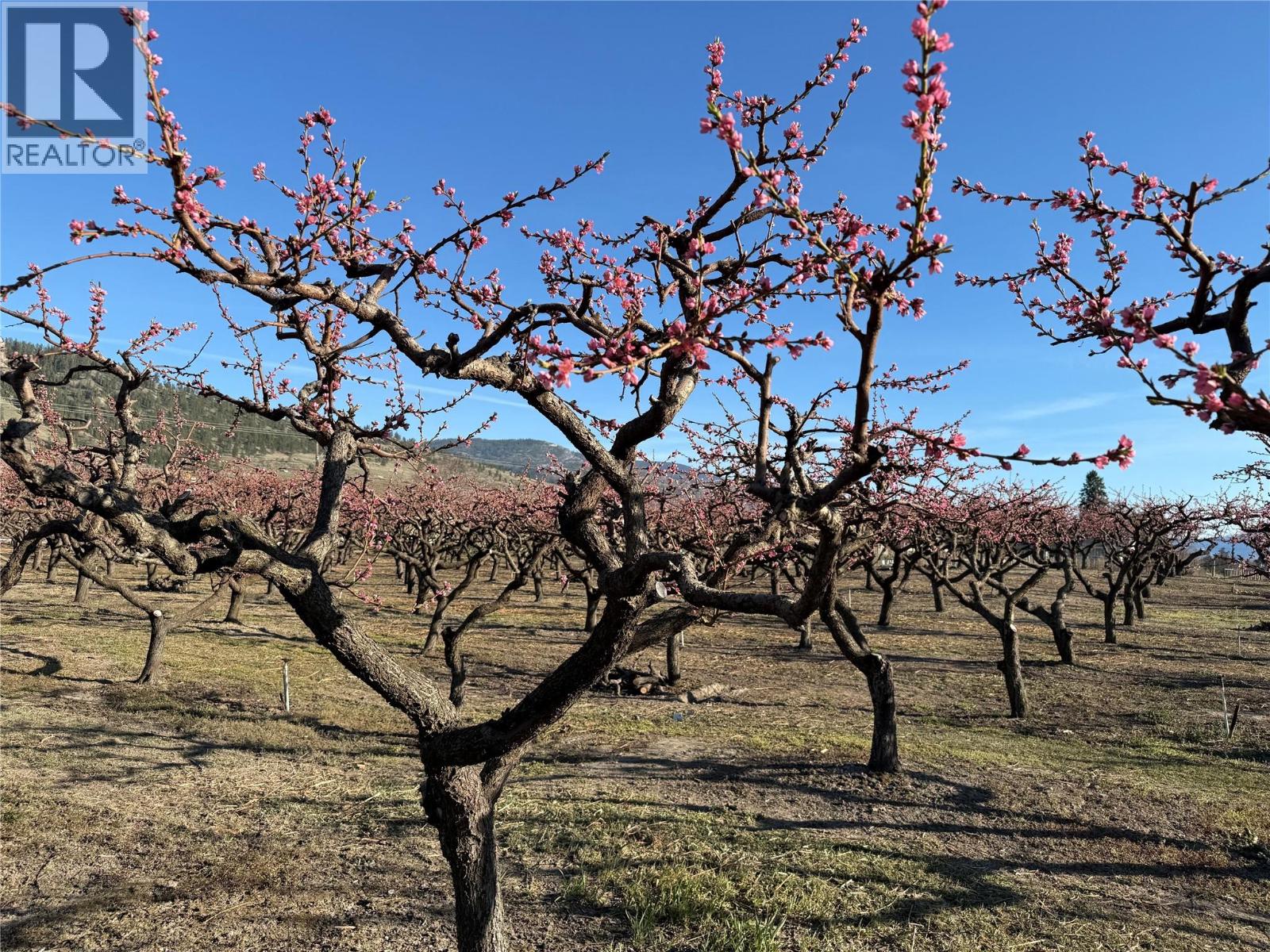 235 Middle Bench Road N, Penticton, British Columbia  V2A 8S5 - Photo 68 - 10382916