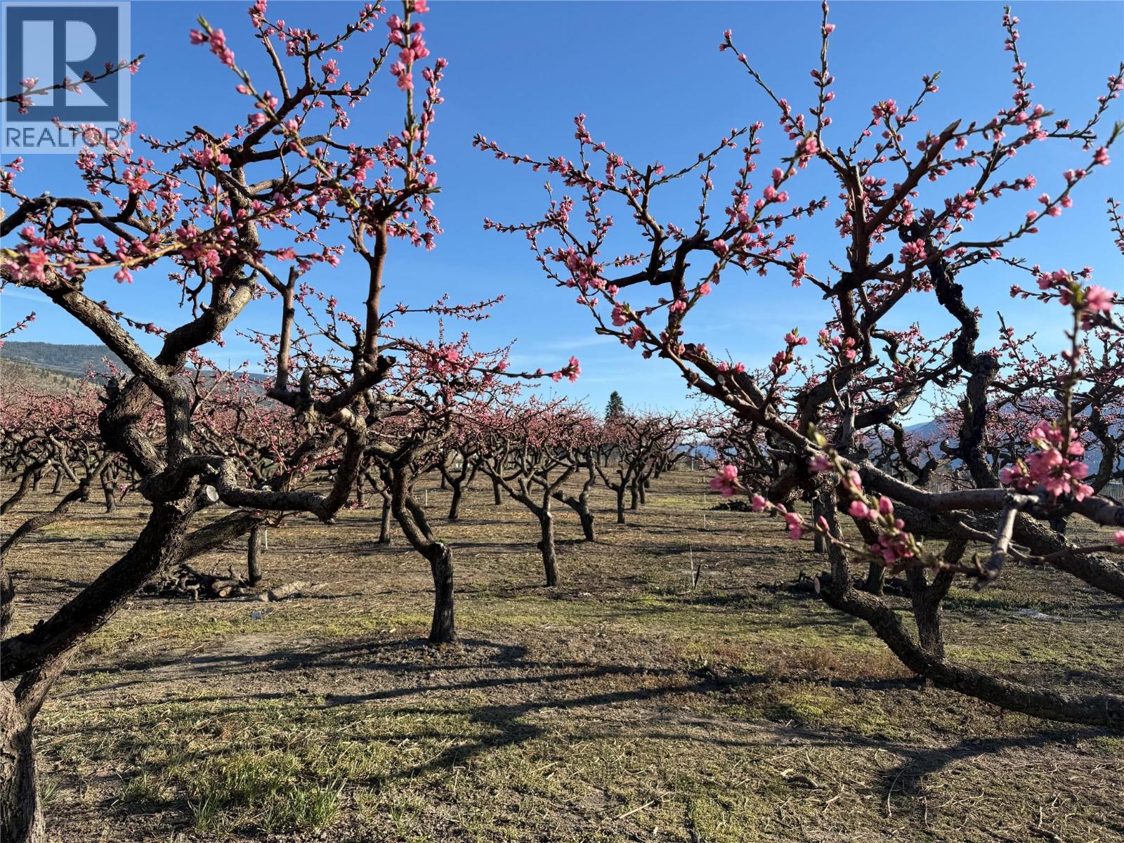 235 Middle Bench Road N, Penticton, British Columbia  V2A 8S5 - Photo 69 - 10382916