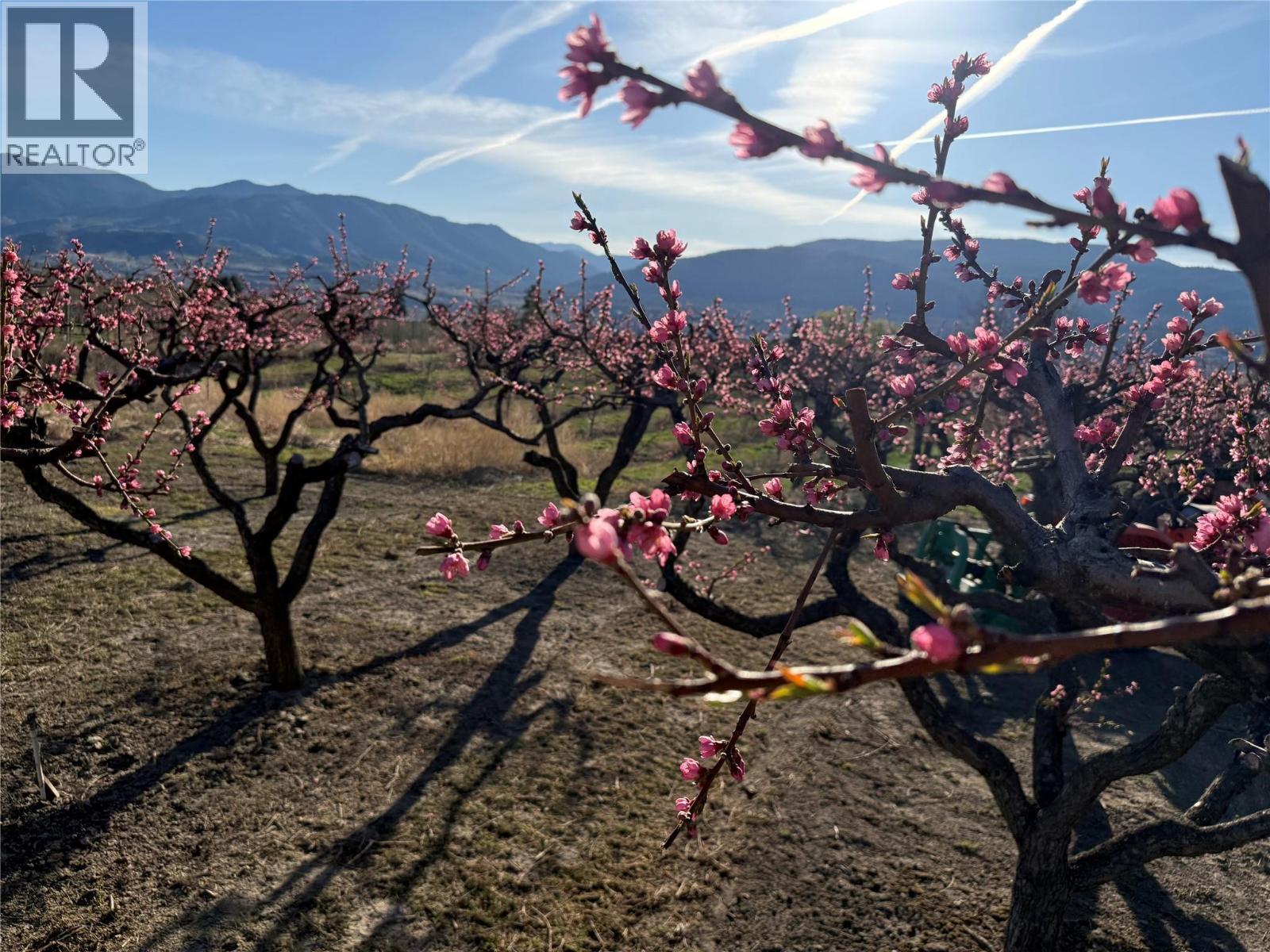 235 Middle Bench Road N, Penticton, British Columbia  V2A 8S5 - Photo 76 - 10382916