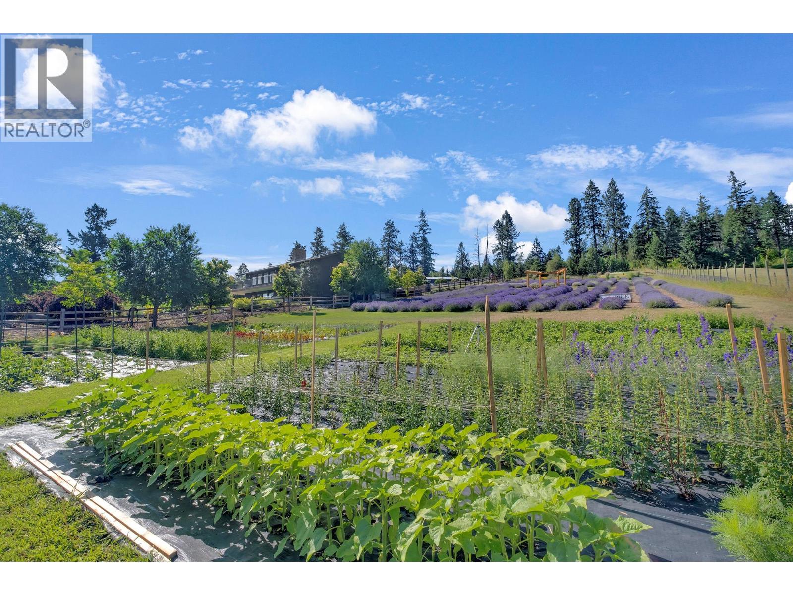 5770 Learmouth Road, Coldstream, British Columbia  V1B 3E6 - Photo 14 - 10382589