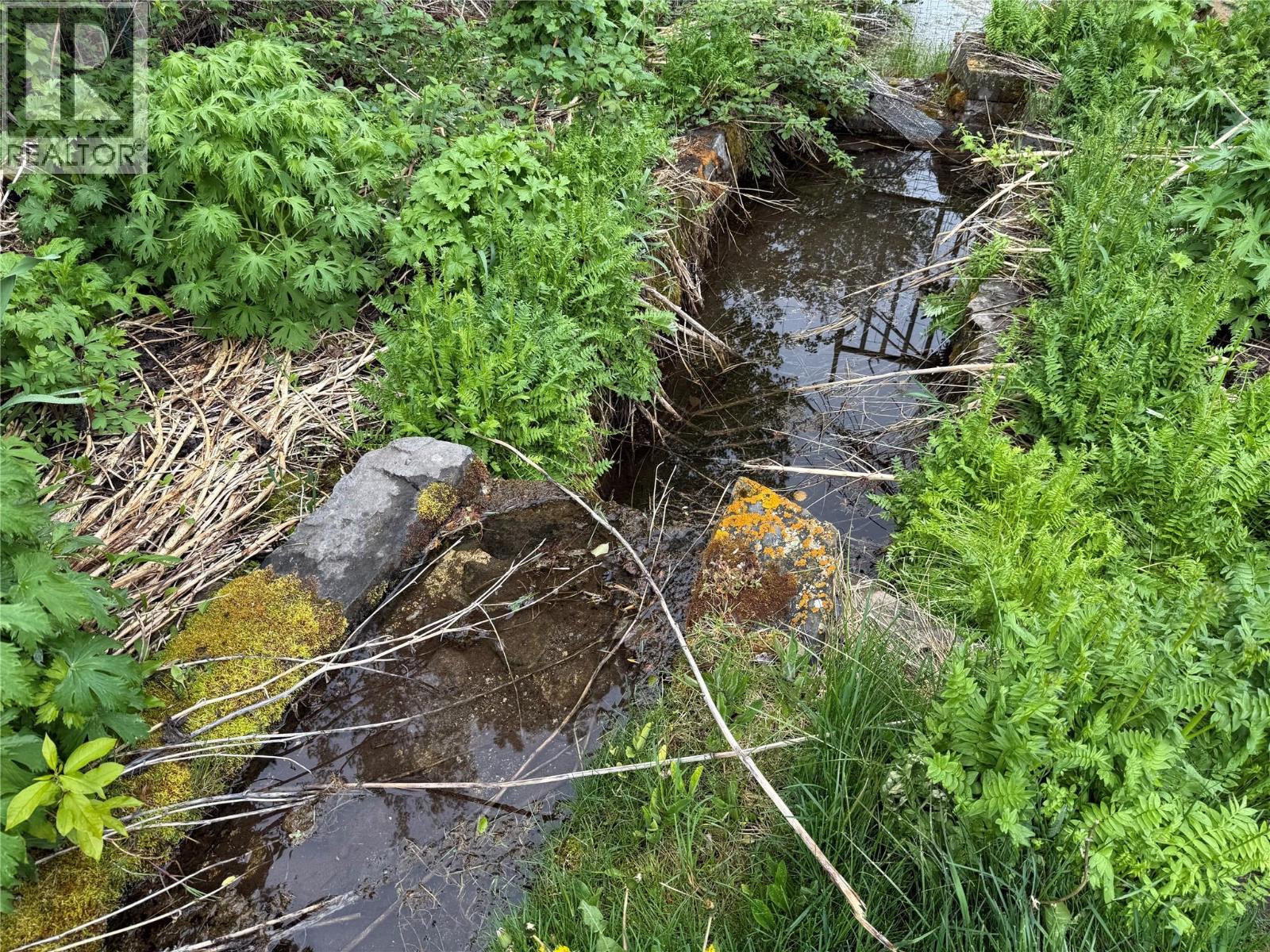 5888 Lazy Lake Road, Wasa, British Columbia  V0B 2K0 - Photo 27 - 10382580