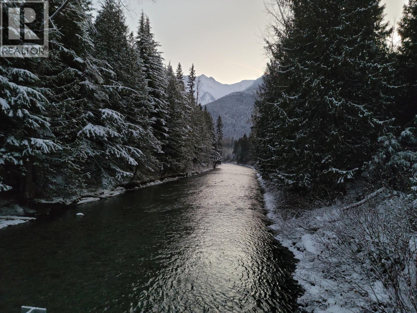 Sawczuk Road Lot# 19, Trout Lake, British Columbia  V0G 1R2 - Photo 4 - 10382958