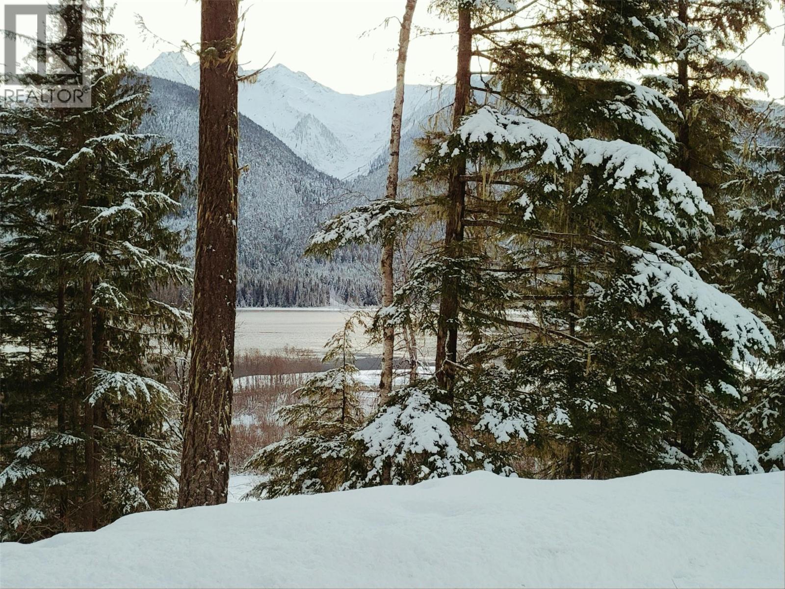 Sawczuk Road Lot# 19, Trout Lake, British Columbia  V0G 1R2 - Photo 6 - 10382958