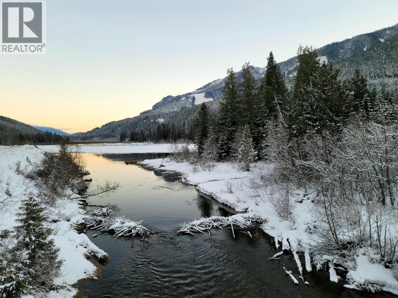 Sawczuk Road Lot# 19, Trout Lake, British Columbia  V0G 1R2 - Photo 9 - 10382958