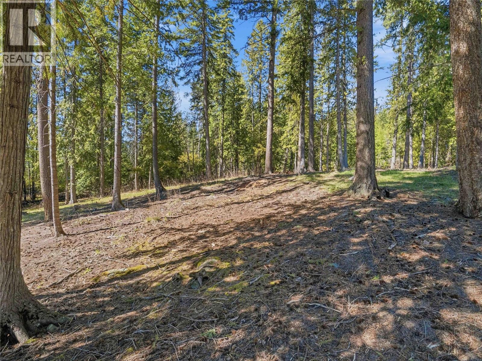 4090 Camille Road, Eagle Bay, British Columbia  V0E 1T0 - Photo 58 - 10382986