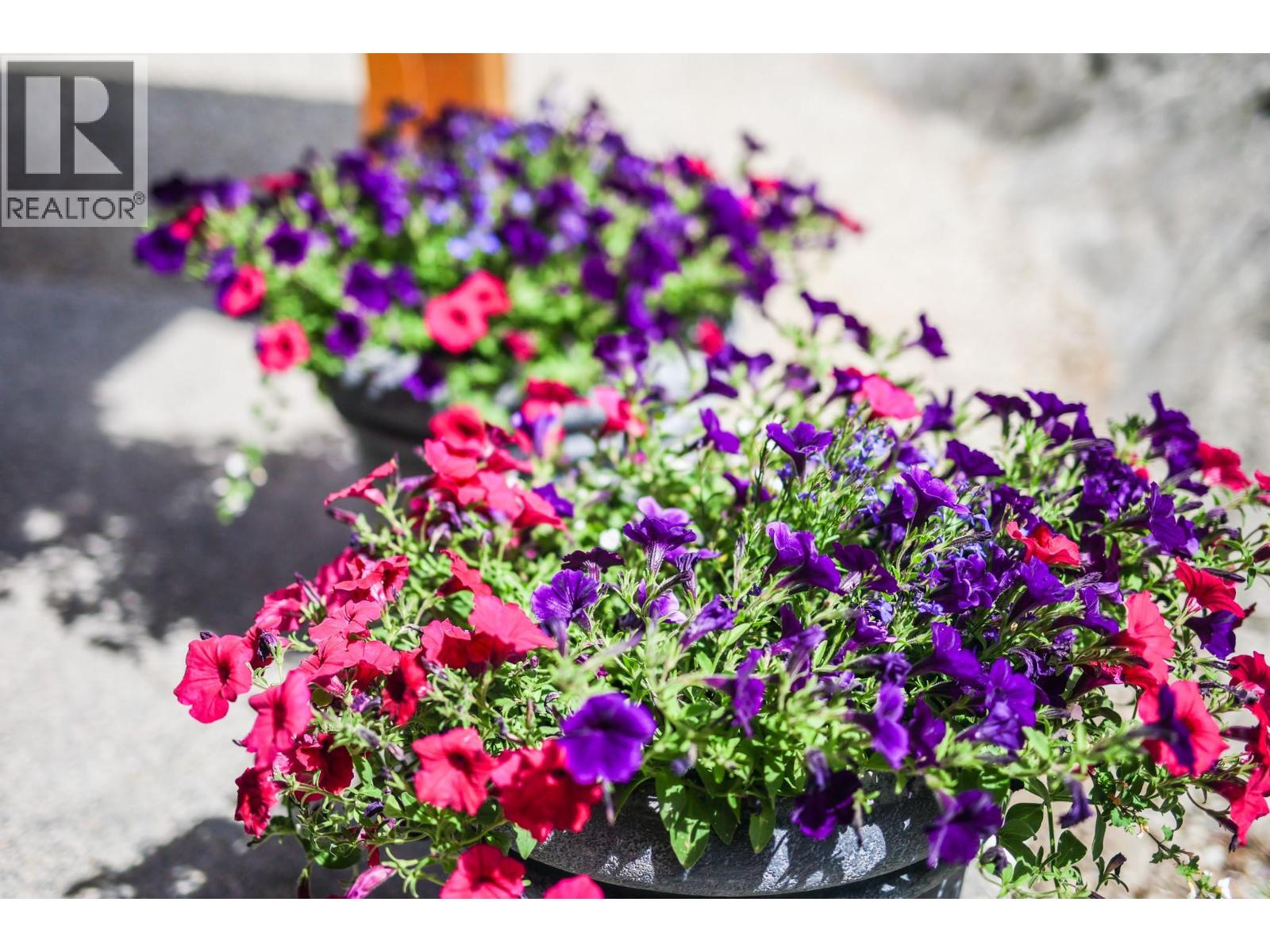 118 Maguire Road, Osoyoos, British Columbia  V0H 1V6 - Photo 52 - 10381194