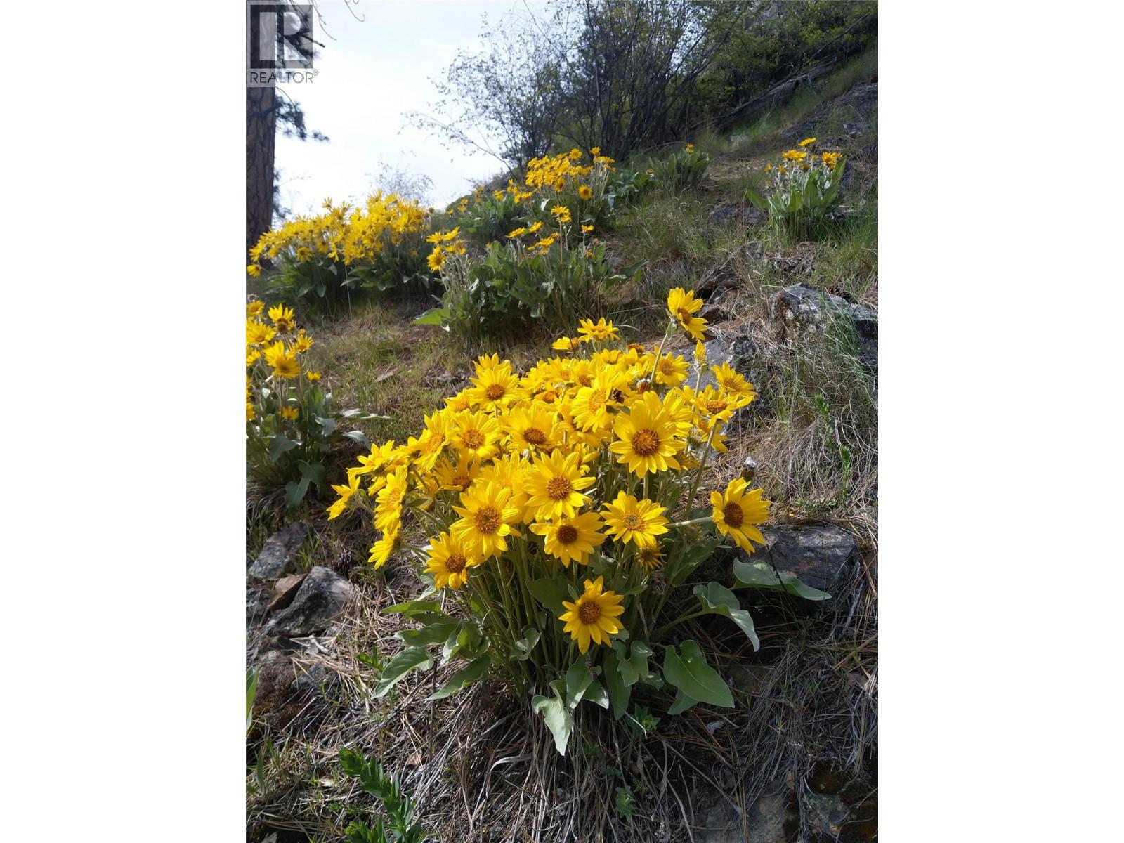 13341 Kidston Road Unit# 7, Coldstream, British Columbia  V1B 1Z4 - Photo 65 - 10382909