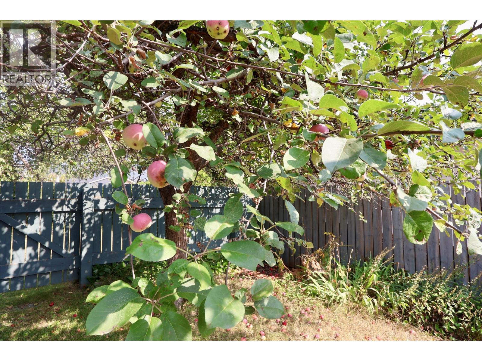 1229 Alexander Drive, Golden, British Columbia  V0A 1H0 - Photo 21 - 10381956