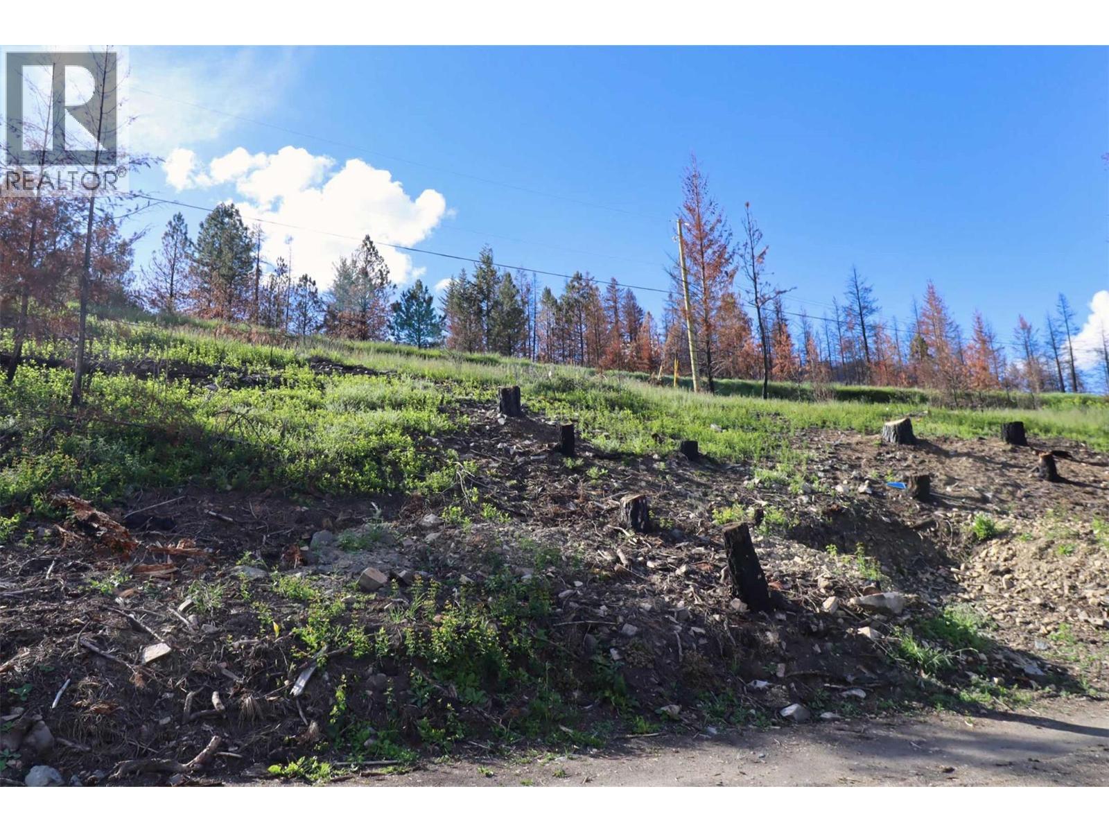 1419 Little Shuswap Lake Road, Chase, British Columbia  V0E 1M2 - Photo 16 - 10382505