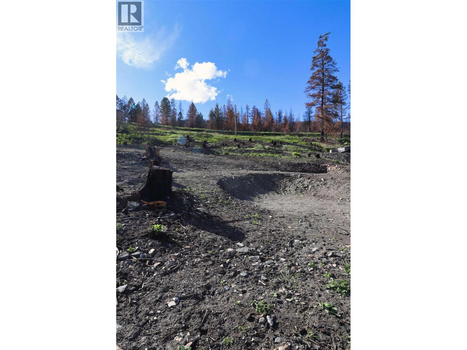 1419 Little Shuswap Lake Road, Chase, British Columbia  V0E 1M2 - Photo 18 - 10382505