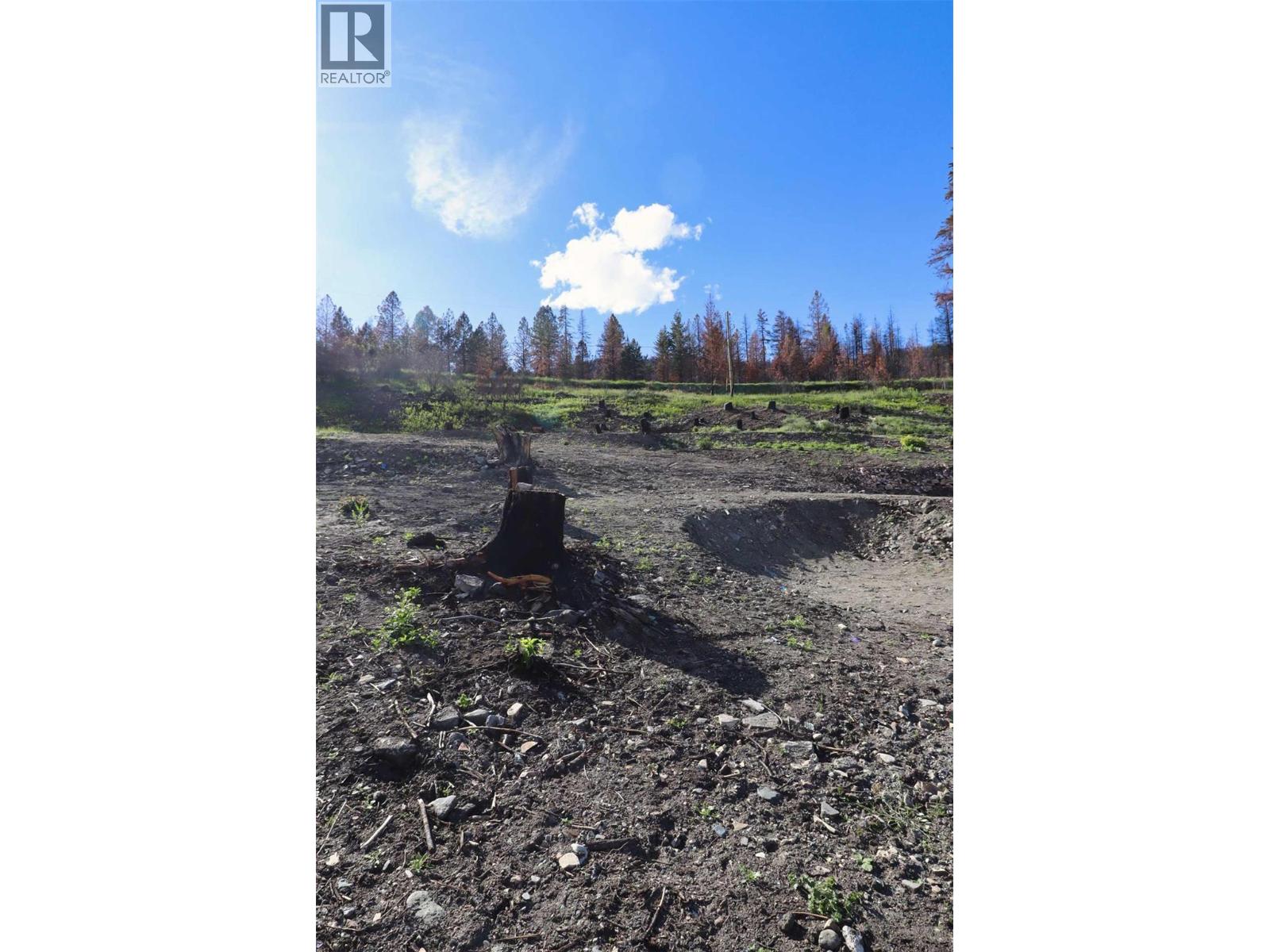 1419 Little Shuswap Lake Road, Chase, British Columbia  V0E 1M2 - Photo 19 - 10382505