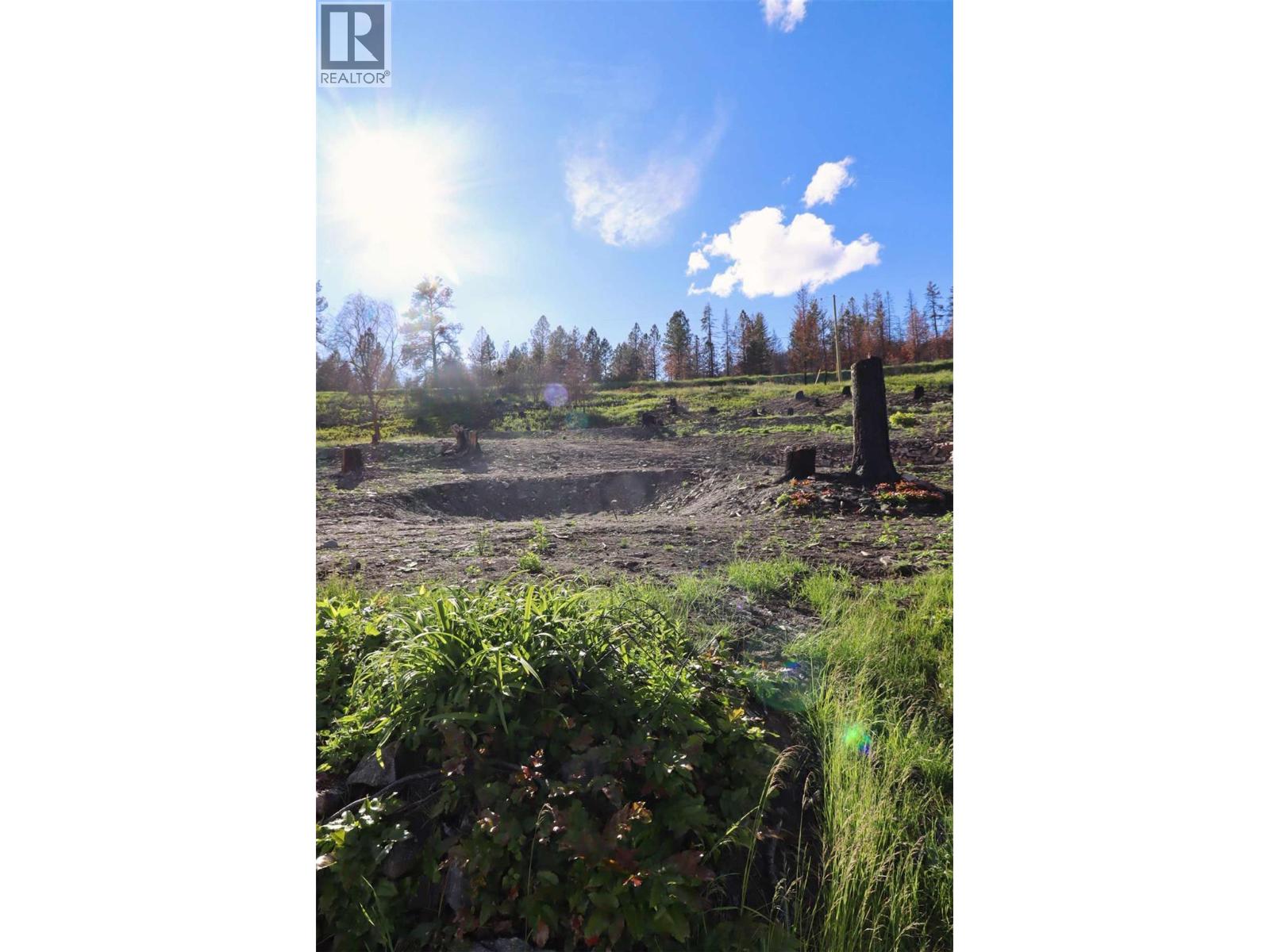 1419 Little Shuswap Lake Road, Chase, British Columbia  V0E 1M2 - Photo 20 - 10382505