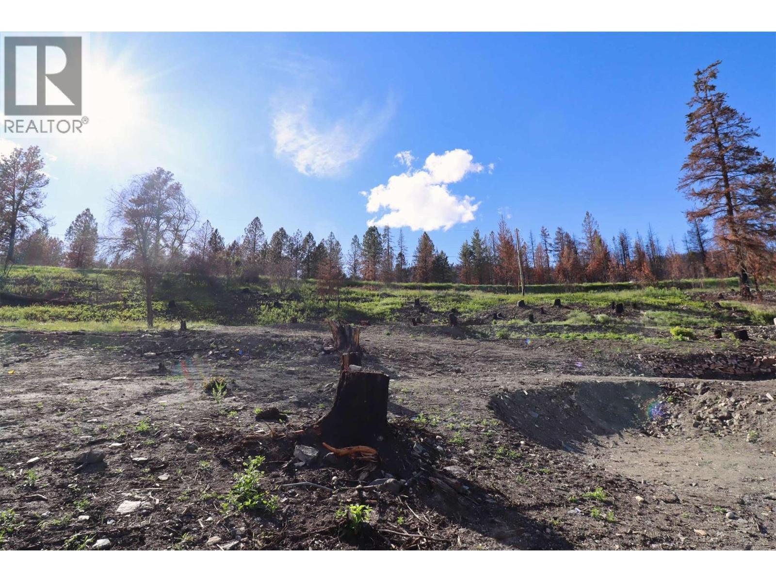 1419 Little Shuswap Lake Road, Chase, British Columbia  V0E 1M2 - Photo 6 - 10382505