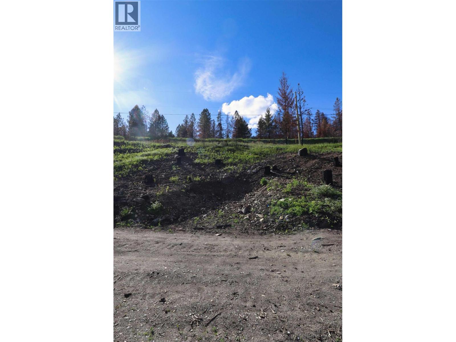 1419 Little Shuswap Lake Road, Chase, British Columbia  V0E 1M2 - Photo 7 - 10382505