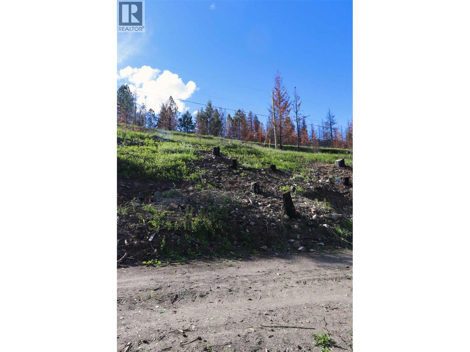 1419 Little Shuswap Lake Road, Chase, British Columbia  V0E 1M2 - Photo 8 - 10382505