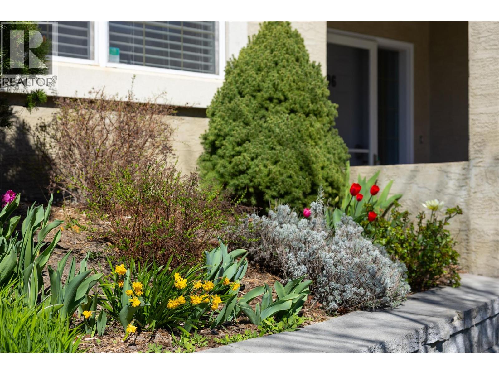 5501 20 Street Unit# 106, Vernon, British Columbia  V1T 7T2 - Photo 38 - 10383074