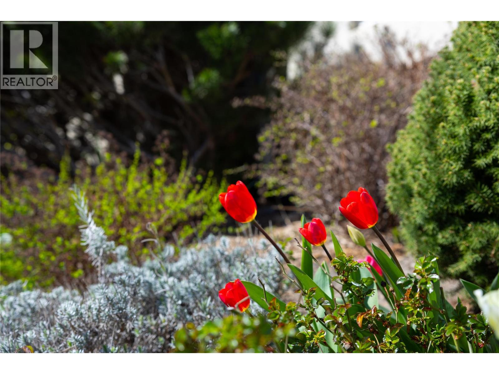 5501 20 Street Unit# 106, Vernon, British Columbia  V1T 7T2 - Photo 39 - 10383074