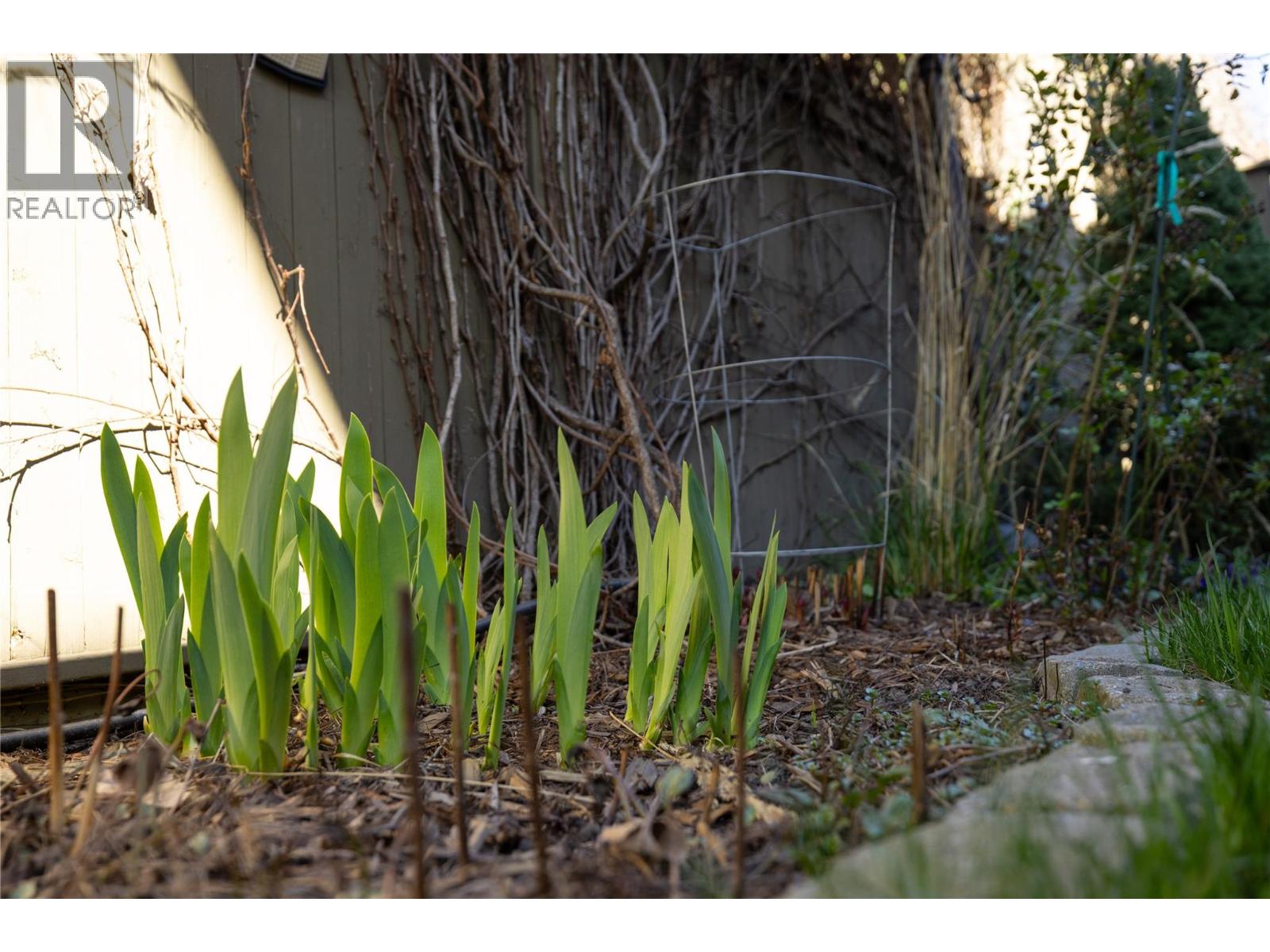 5501 20 Street Unit# 106, Vernon, British Columbia  V1T 7T2 - Photo 47 - 10383074