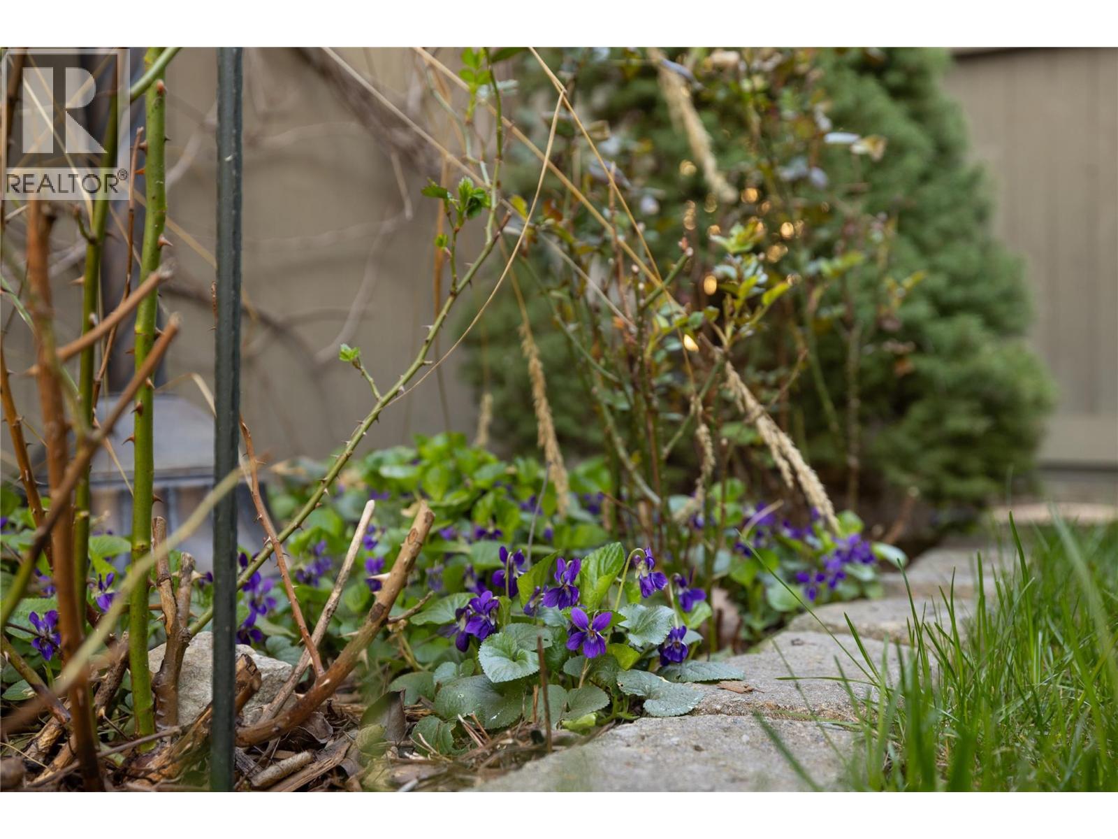 5501 20 Street Unit# 106, Vernon, British Columbia  V1T 7T2 - Photo 48 - 10383074