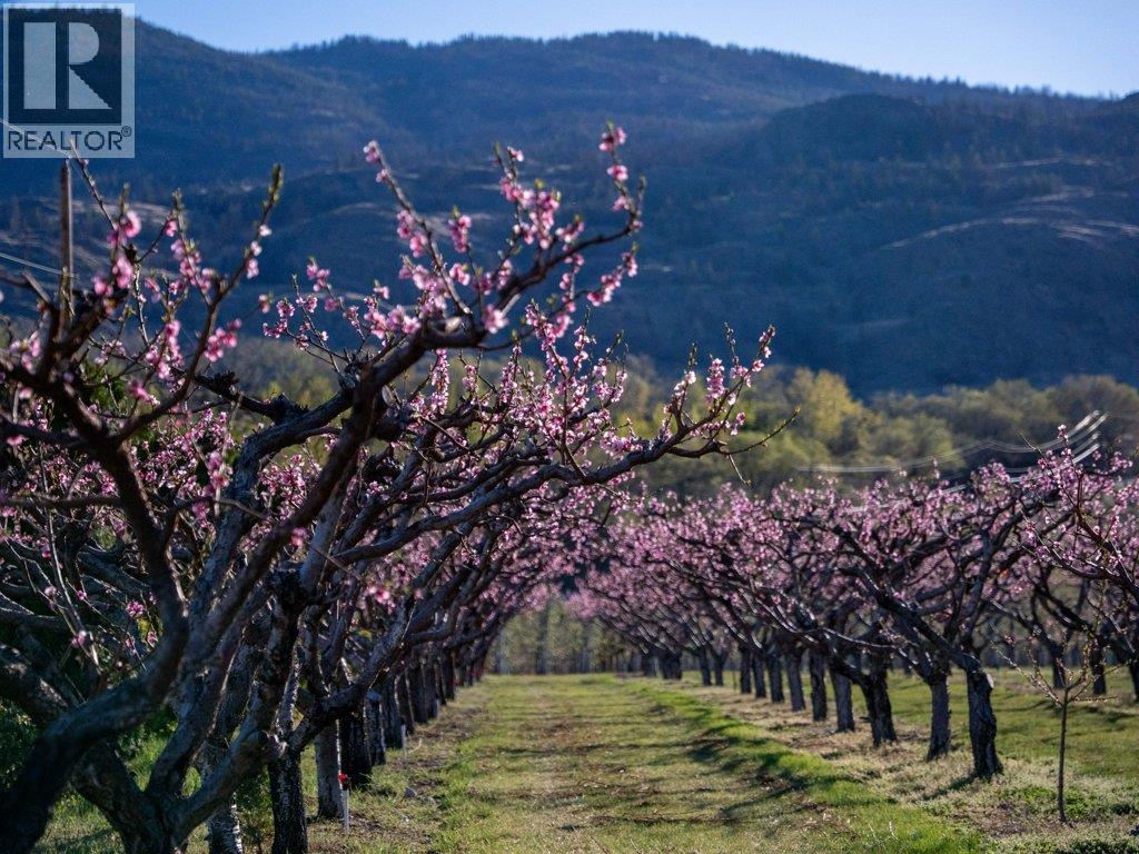 14807 89th Street, Osoyoos, British Columbia  V0H 1V2 - Photo 73 - 10382108