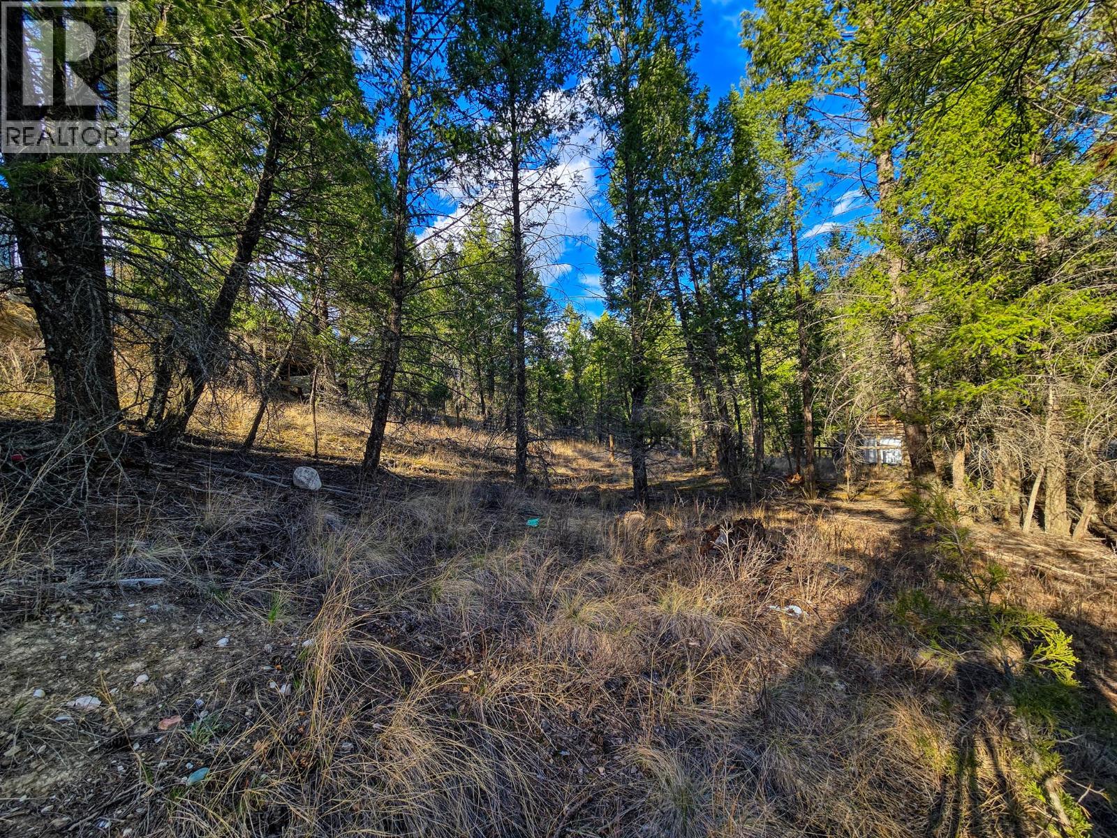 Lot 17 Copper Point Way, Windermere, British Columbia  V0B 2L0 - Photo 10 - 10382371