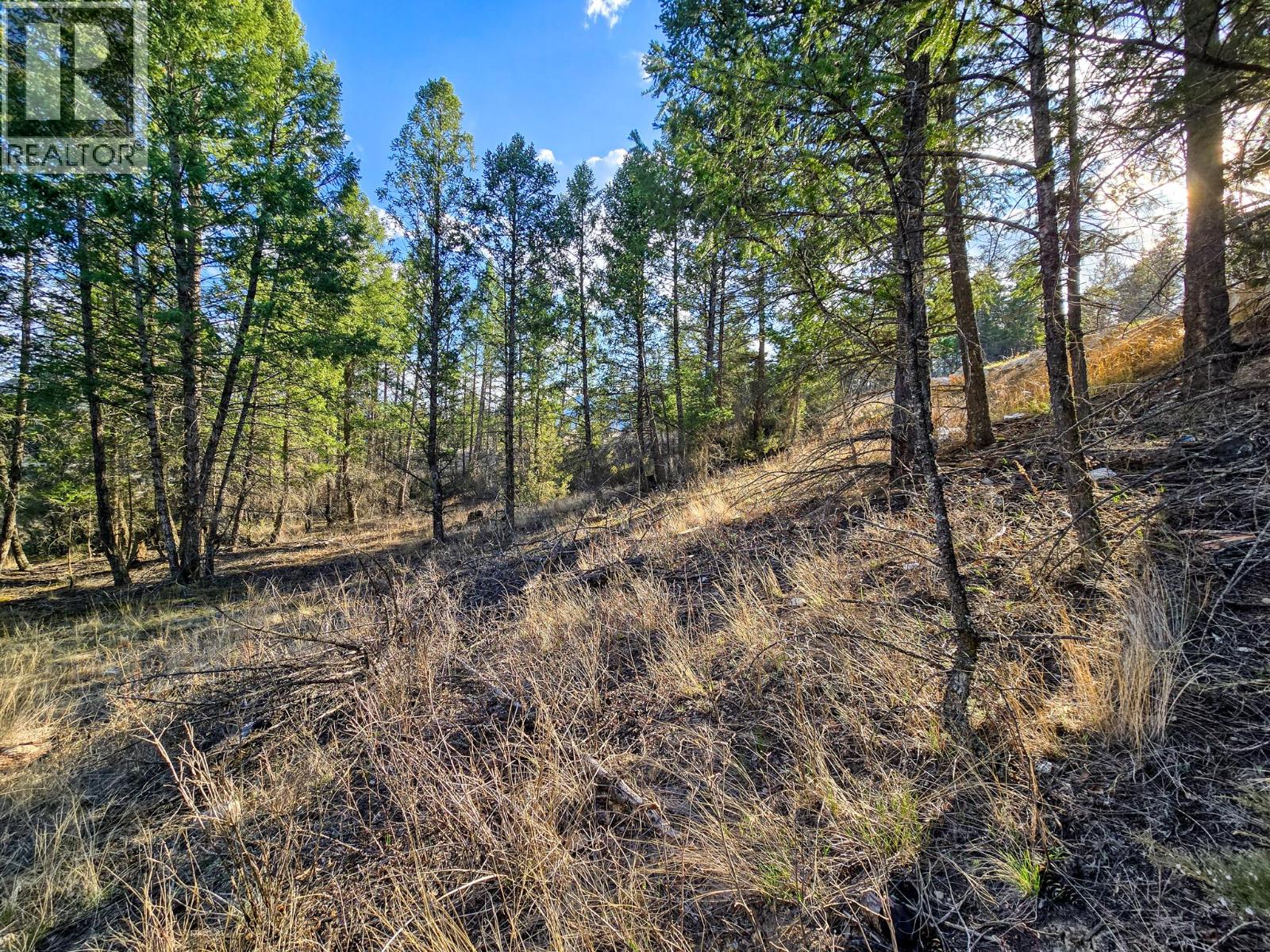 Lot 17 Copper Point Way, Windermere, British Columbia  V0B 2L0 - Photo 11 - 10382371