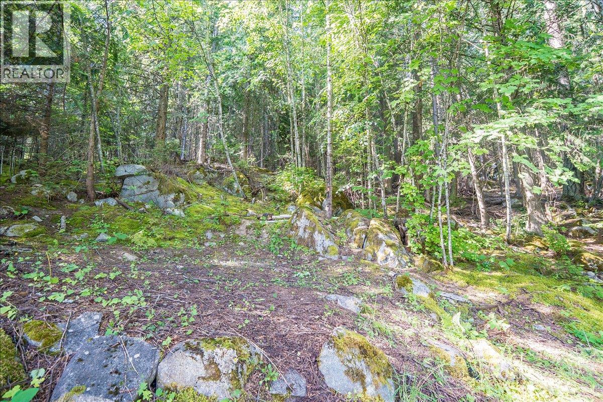 1835 Granite Road, Nelson, British Columbia  V1L 6T8 - Photo 51 - 10382111