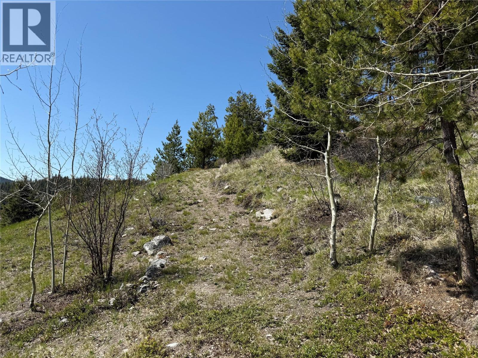 4158 Princeton Summerland Road, Princeton, British Columbia  V0X 1W0 - Photo 43 - 10382799