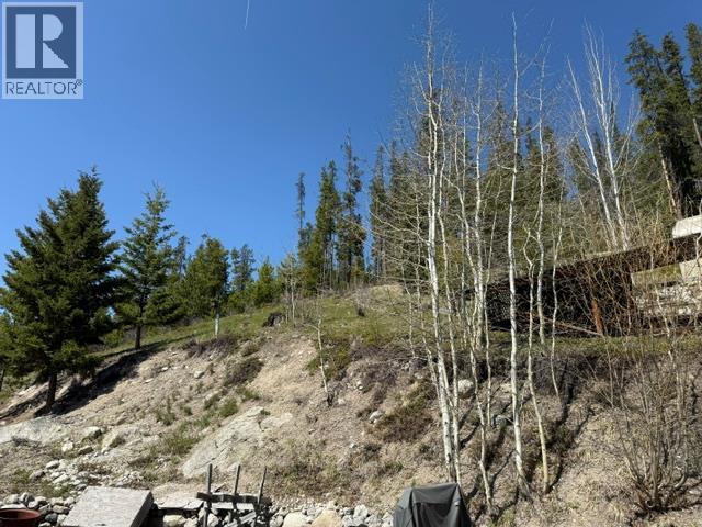 4158 Princeton Summerland Road, Princeton, British Columbia  V0X 1W0 - Photo 49 - 10382799