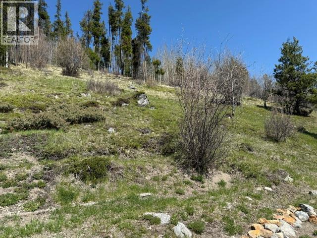 4158 Princeton Summerland Road, Princeton, British Columbia  V0X 1W0 - Photo 61 - 10382799