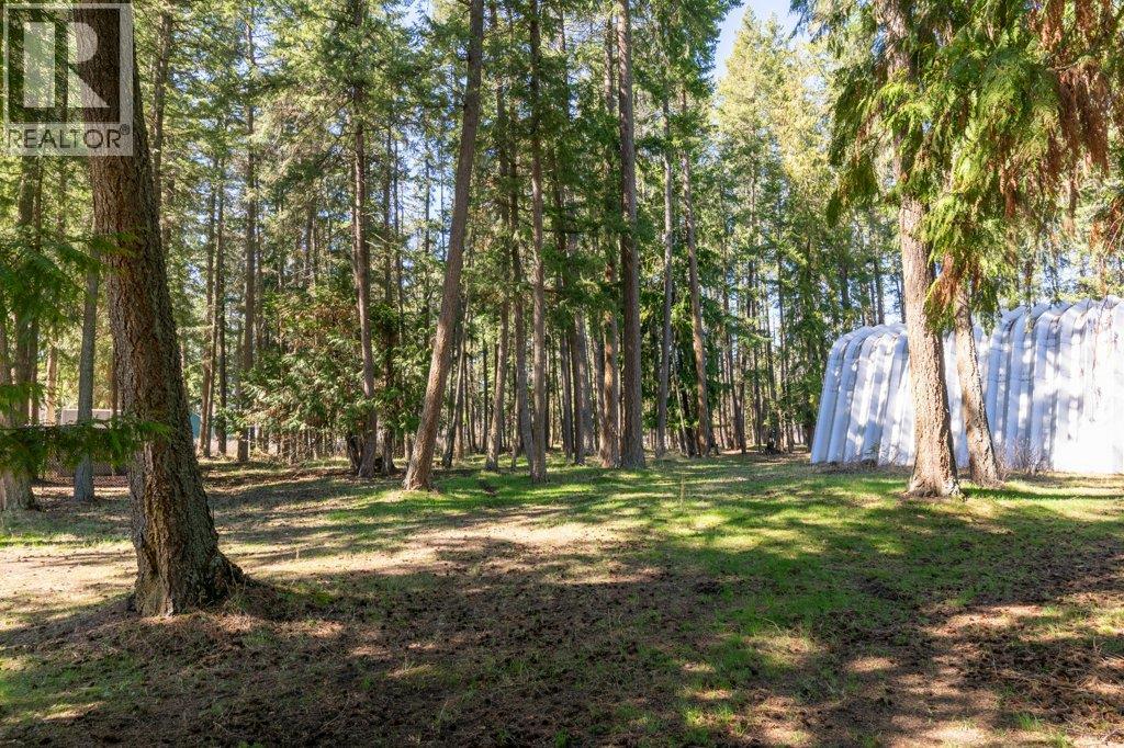 3789 Zinck Road, Scotch Creek, British Columbia  V0E 1M5 - Photo 68 - 10383098