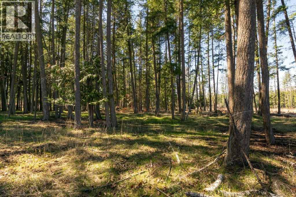 3789 Zinck Road, Scotch Creek, British Columbia  V0E 1M5 - Photo 71 - 10383098