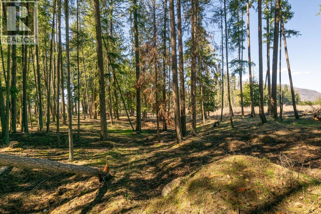 3789 Zinck Road, Scotch Creek, British Columbia  V0E 1M5 - Photo 73 - 10383098