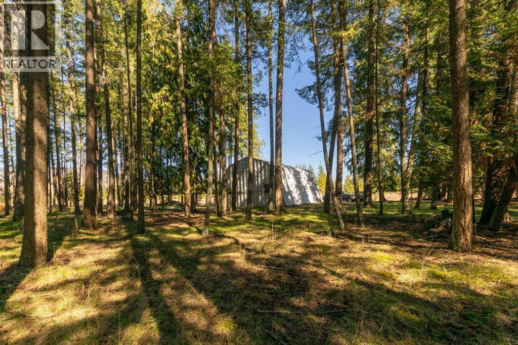 3789 Zinck Road, Scotch Creek, British Columbia  V0E 1M5 - Photo 74 - 10383098